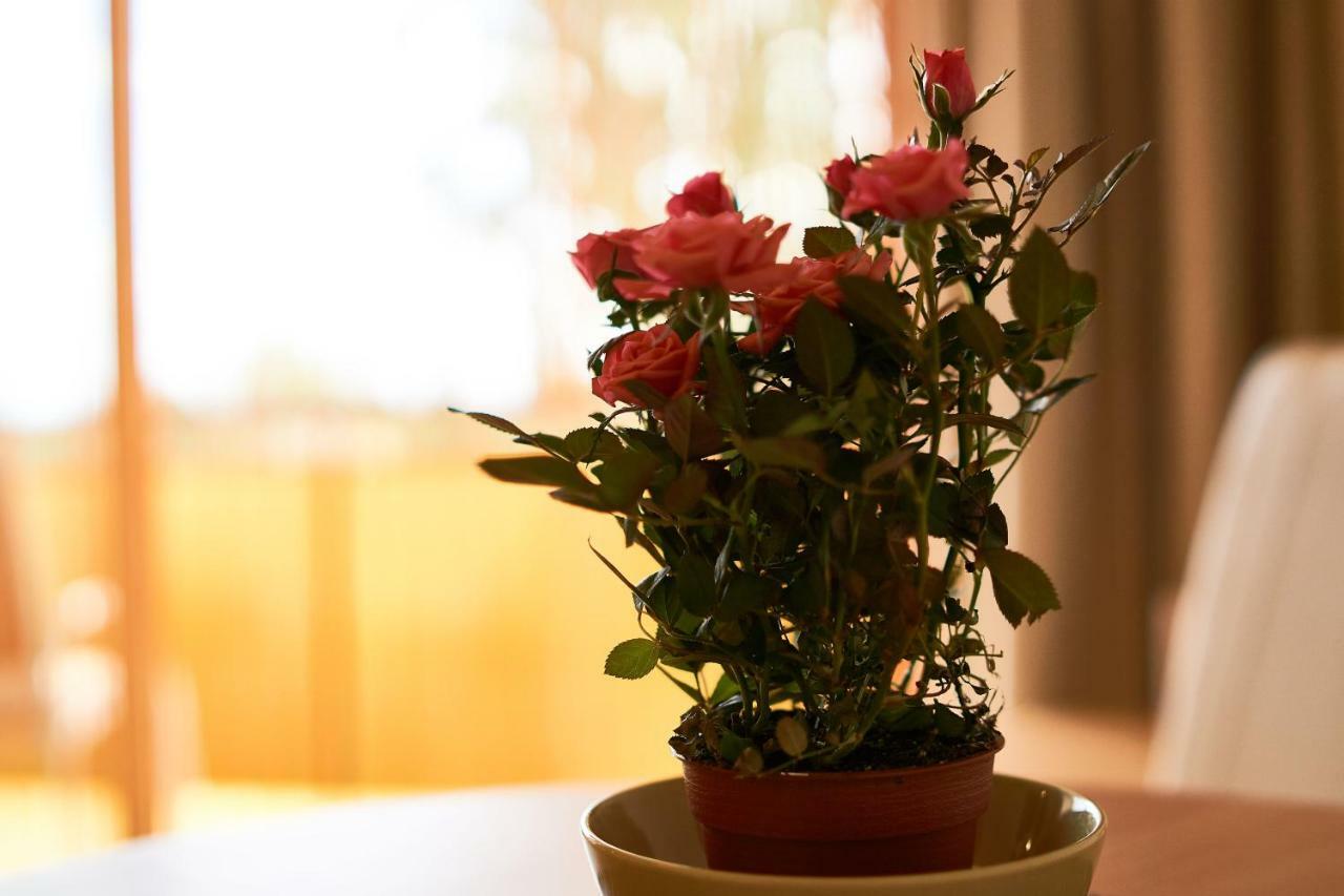 Seeyou Apartment Balatonfuered 외부 사진